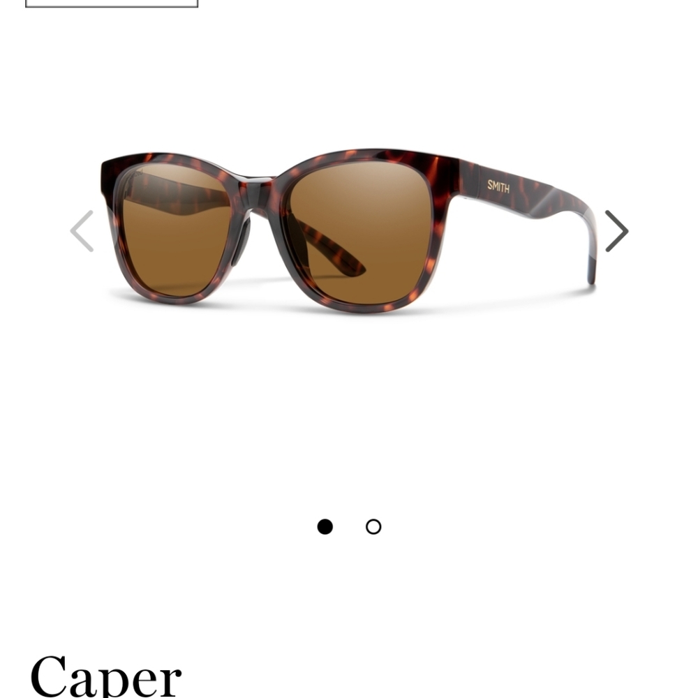 Nwt Smith Caper polarized sunglasses